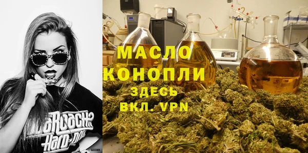 spice Инта