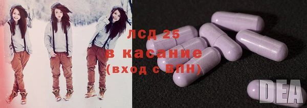 spice Инта