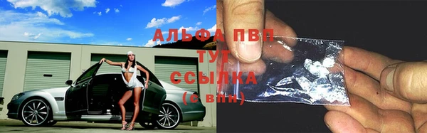 СК Инсар