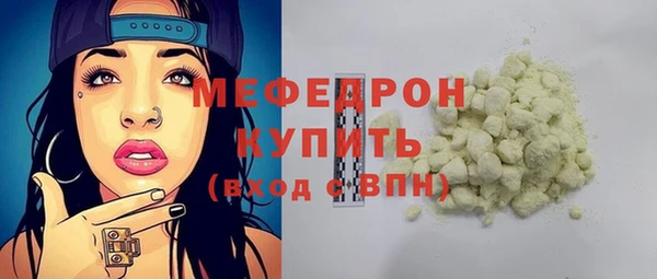 spice Инта