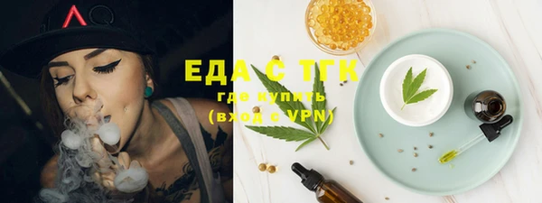 spice Инта