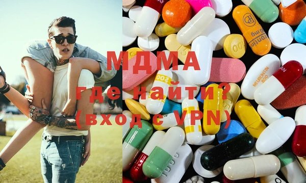 spice Инта