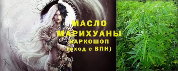 spice Инта