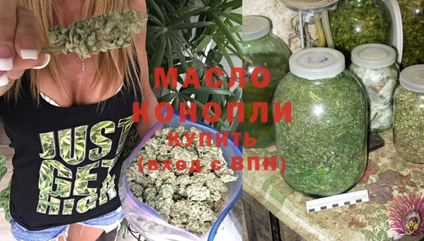 spice Инта