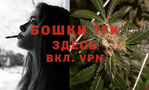 spice Инта