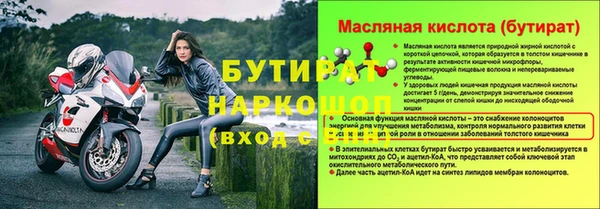spice Инта