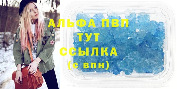 СК Инсар