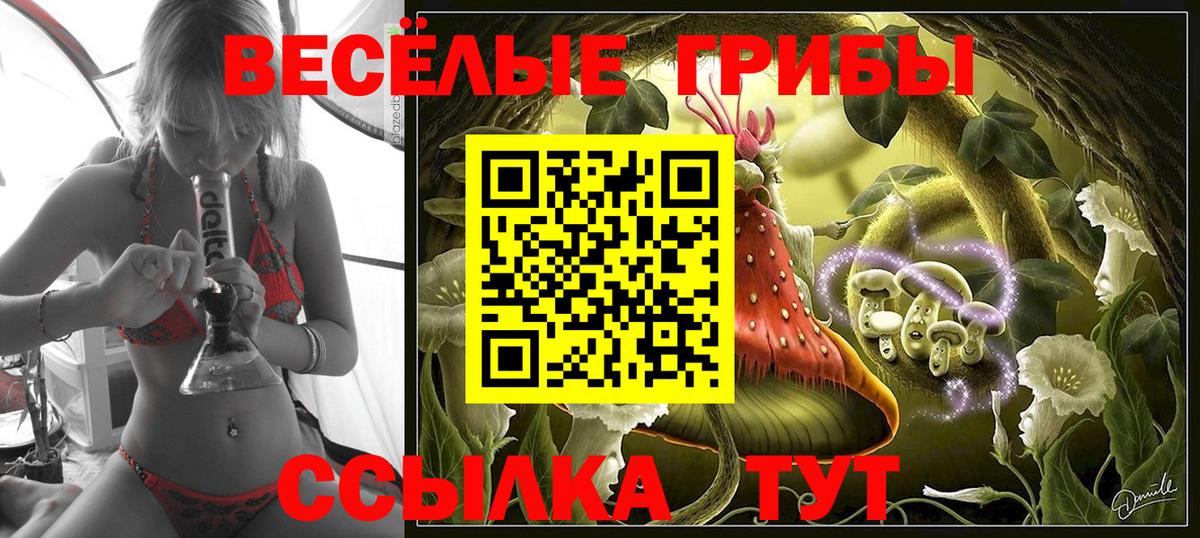 Галлюциногенные грибы Psilocybe  Галлюциногенные грибы GOLDEN TEACHER  Искитим  Вход с VPN 